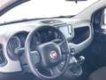 Fiat Panda 1.0 FireFly S&S Hybrid Blanc - thumbnail 6