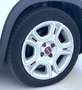 Fiat Panda 1.0 FireFly S&S Hybrid Blanc - thumbnail 21