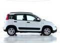 Fiat Panda 1.0 FireFly S&S Hybrid Blanc - thumbnail 3