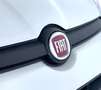 Fiat Panda 1.0 FireFly S&S Hybrid Blanc - thumbnail 5