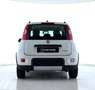 Fiat Panda 1.0 FireFly S&S Hybrid Blanc - thumbnail 2