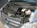Mercedes-Benz Vito Gancio Traino Grigio - thumbnail 8