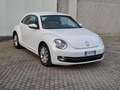 Volkswagen Maggiolino 1.6 tdi Design *NEOPATENTATI* Blanc - thumbnail 1
