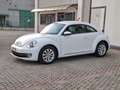 Volkswagen Maggiolino 1.6 tdi Design *NEOPATENTATI* Blanc - thumbnail 4