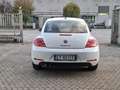 Volkswagen Maggiolino 1.6 tdi Design *NEOPATENTATI* Blanc - thumbnail 6