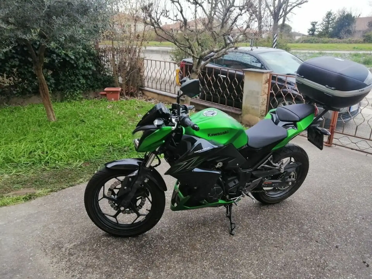 Kawasaki Z 300 Zelená - 1