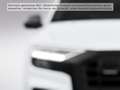 Audi Q8 SUV 55 TFSI quattro 250(340) kW(PS) tiptronic Weiß - thumbnail 6
