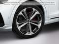 Audi Q8 SUV 55 TFSI quattro 250(340) kW(PS) tiptronic Weiß - thumbnail 8