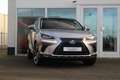 Lexus NX 300h Hybride AWD President Line I Pano I Mark Lev. I Ca Grau - thumbnail 5