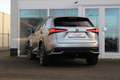 Lexus NX 300h Hybride AWD President Line I Pano I Mark Lev. I Ca Grau - thumbnail 6