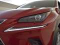 Lexus NX 300h AWD Business Edition | Leder | Apple carplay Rot - thumbnail 15