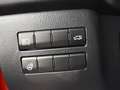 Lexus NX 300h AWD Business Edition | Leder | Apple carplay Rot - thumbnail 24
