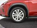 Lexus NX 300h AWD Business Edition | Leder | Apple carplay Rot - thumbnail 19