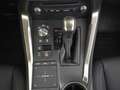 Lexus NX 300h AWD Business Edition | Leder | Apple carplay Rot - thumbnail 18