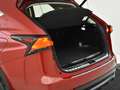Lexus NX 300h AWD Business Edition | Leder | Apple carplay Rot - thumbnail 23