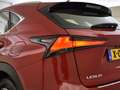 Lexus NX 300h AWD Business Edition | Leder | Apple carplay Rot - thumbnail 17