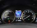 Lexus NX 300h AWD Business Edition | Leder | Apple carplay Rouge - thumbnail 14