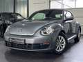 Volkswagen Beetle Cabriolet | WINDSCHOTT | KLIMA | SHZ | SH Grau - thumbnail 2