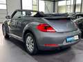 Volkswagen Beetle Cabriolet | WINDSCHOTT | KLIMA | SHZ | SH Grau - thumbnail 5