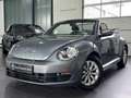 Volkswagen Beetle Cabriolet | WINDSCHOTT | KLIMA | SHZ | SH Grau - thumbnail 1