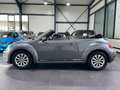 Volkswagen Beetle Cabriolet | WINDSCHOTT | KLIMA | SHZ | SH Grau - thumbnail 4