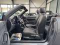 Volkswagen Beetle Cabriolet | WINDSCHOTT | KLIMA | SHZ | SH Grau - thumbnail 10