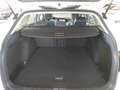 Volkswagen Golf Variant Golf VIII Variant 2.0 TDI Life *LED*PDC*NAVI*SITZH Weiß - thumbnail 5
