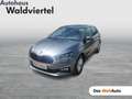 Skoda Fabia Selection TSI Grau - thumbnail 1
