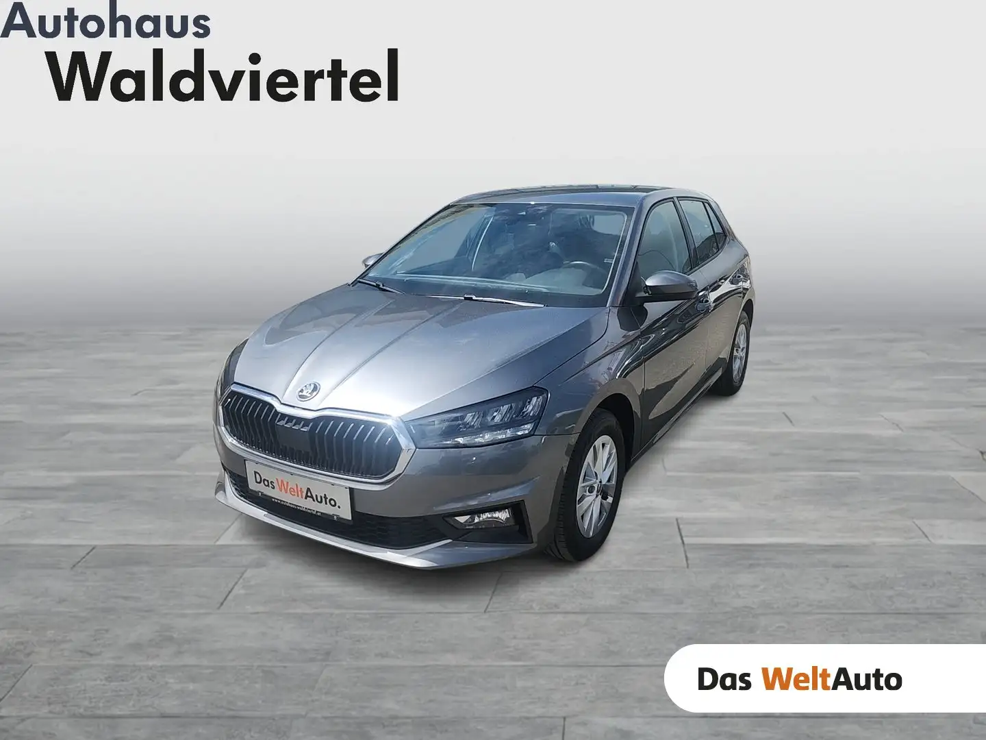 Skoda Fabia Selection TSI Grau - 1