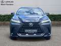 Lexus NX 450h+ Privilege Line + OPEN ROOF Сірий - thumbnail 2