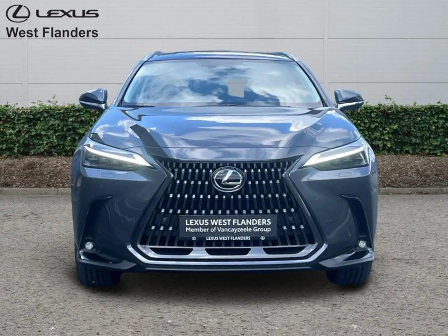 Lexus NX 450h+ Privilege Line + OPEN ROOF Сірий - 2