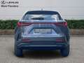 Lexus NX 450h+ Privilege Line + OPEN ROOF Сірий - thumbnail 6
