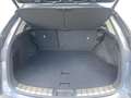 Lexus NX 450h+ Privilege Line + OPEN ROOF Gris - thumbnail 26