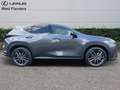 Lexus NX 450h+ Privilege Line + OPEN ROOF Сірий - thumbnail 3