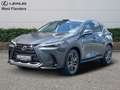 Lexus NX 450h+ Privilege Line + OPEN ROOF Сірий - thumbnail 1