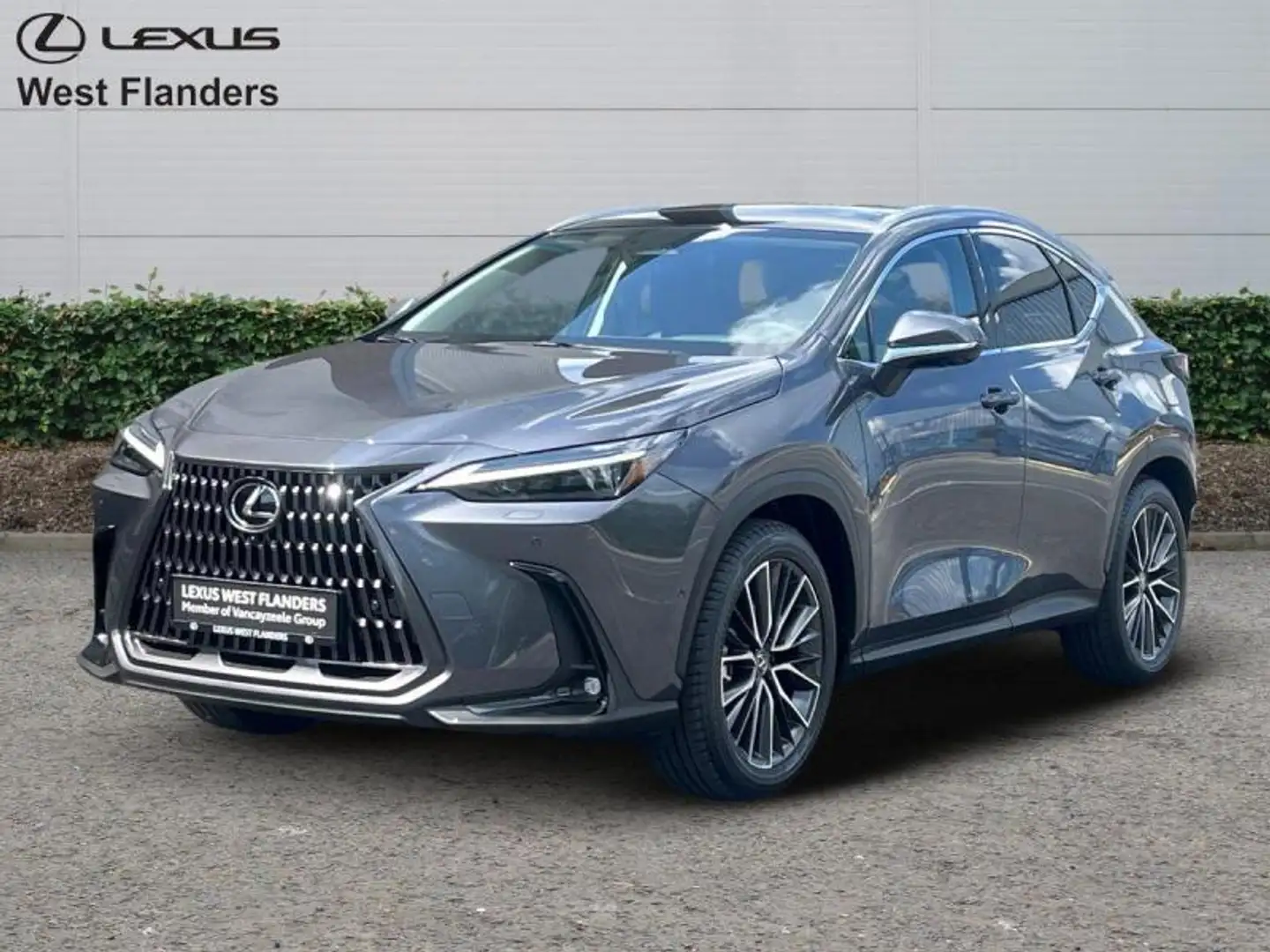 Lexus NX 450h+ Privilege Line + OPEN ROOF Сірий - 1