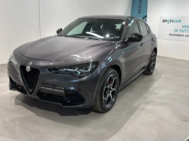 2024 Alfa Romeo Stelvio for sale