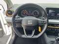 SEAT Ibiza 1.0 TSI Style Beats Fast Lane Alu LED Beat Weiß - thumbnail 10