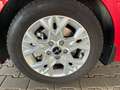 Kia Ceed SW / cee'd SW Comfort 1.5 DCT / Sitz + Lenkradheizung / Tempomat Rot - thumbnail 29