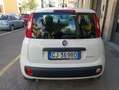 Fiat Panda Panda III 2021 1.0 firefly hybrid s Blanc - thumbnail 4
