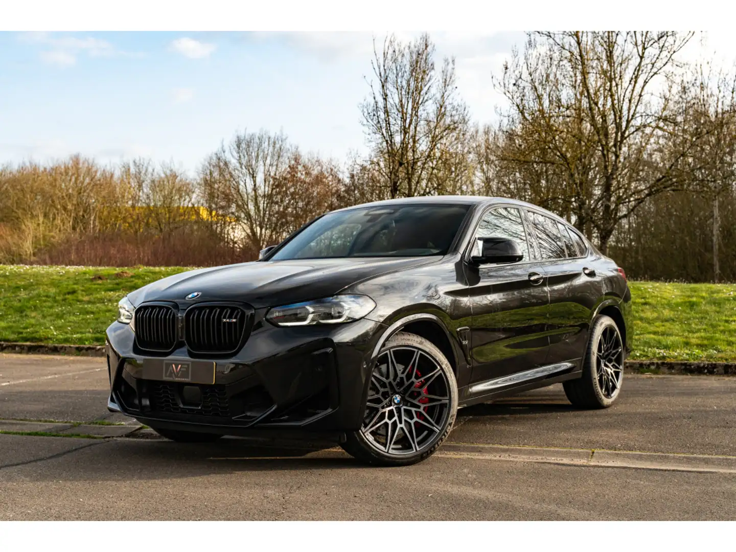 bmw x4