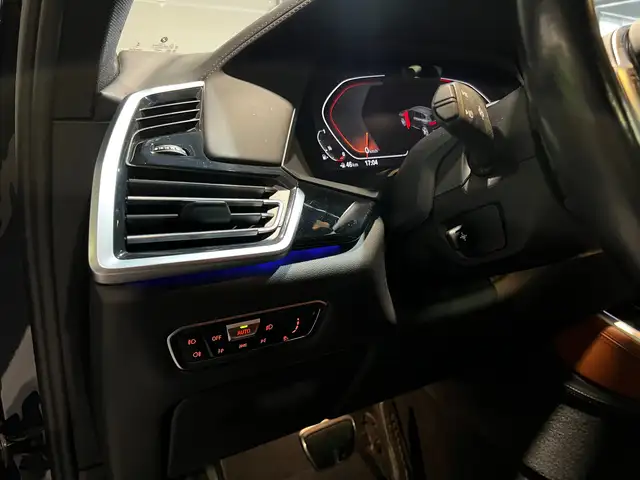 BMW X5 xDrive40i MSport*360*HUD*SOFT-CLOSE*MEMORY*MASSAGE Ansicht 12