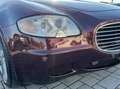 Maserati Quattroporte Quattroporte 4.2 Executive GT auto - TETTO Rouge - thumbnail 12