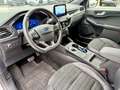 Ford Kuga Plug-In Hybrid ST-Line X PANO 19-Zoll AHK Zilver - thumbnail 12