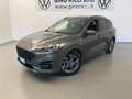 Ford Kuga Kuga 1.5 EcoBlue 120 CV aut. 2WD ST-Line X Gris - thumbnail 2