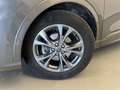 Ford Kuga Kuga 1.5 EcoBlue 120 CV aut. 2WD ST-Line X Gris - thumbnail 9