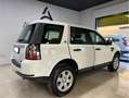 Land Rover Freelander Freelander 2.2 ed4 S 2wd 150cv Blanco - thumbnail 3