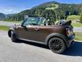 MINI Cooper Cabrio Austattungspaket Chili Braun - thumbnail 3