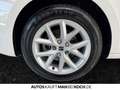 SEAT Leon Sportstourer Style 1.0 TSI LED Sitzh.Temp. Weiß - thumbnail 15
