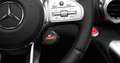 Mercedes-Benz AMG GT Roadster C PERFORMANCE SITZ+AGA*CARBON Gris - thumbnail 31